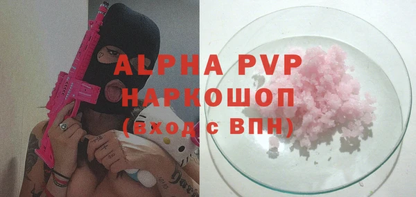 индика Нестеровская
