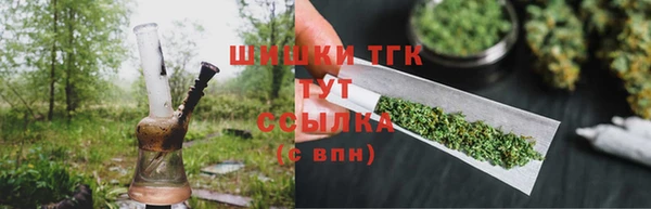 индика Нестеровская