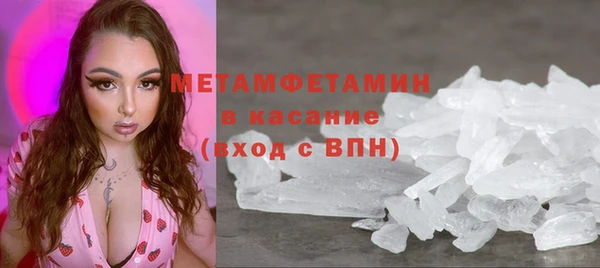 индика Нестеровская