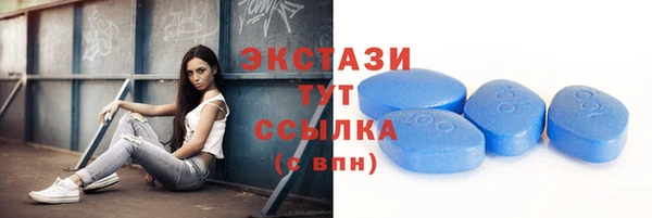 индика Нестеровская
