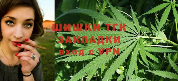 индика Санкт-Петербург