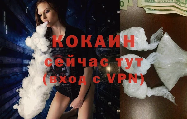 сатива Фёдоровский