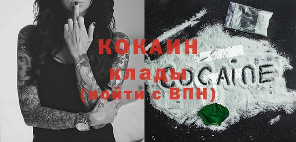 индика Нестеровская