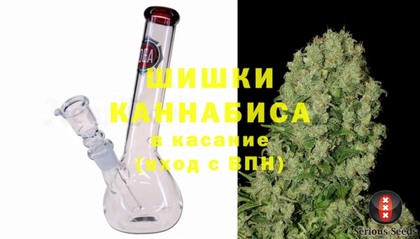 индика Санкт-Петербург